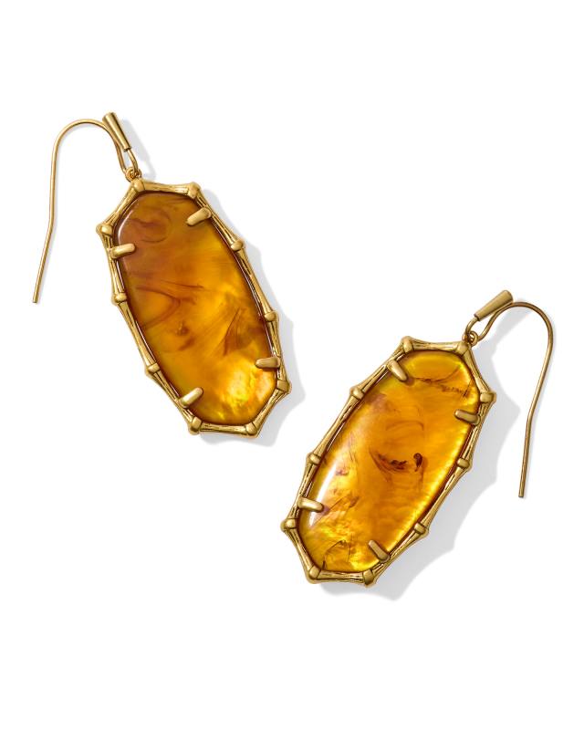 Elle Vintage Gold Bamboo Frame Drop Earrings in Marbled Amber Illusion image number 0.0